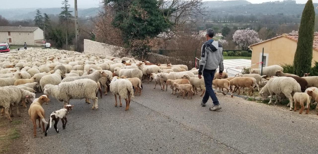 D'hotes En Luberon *